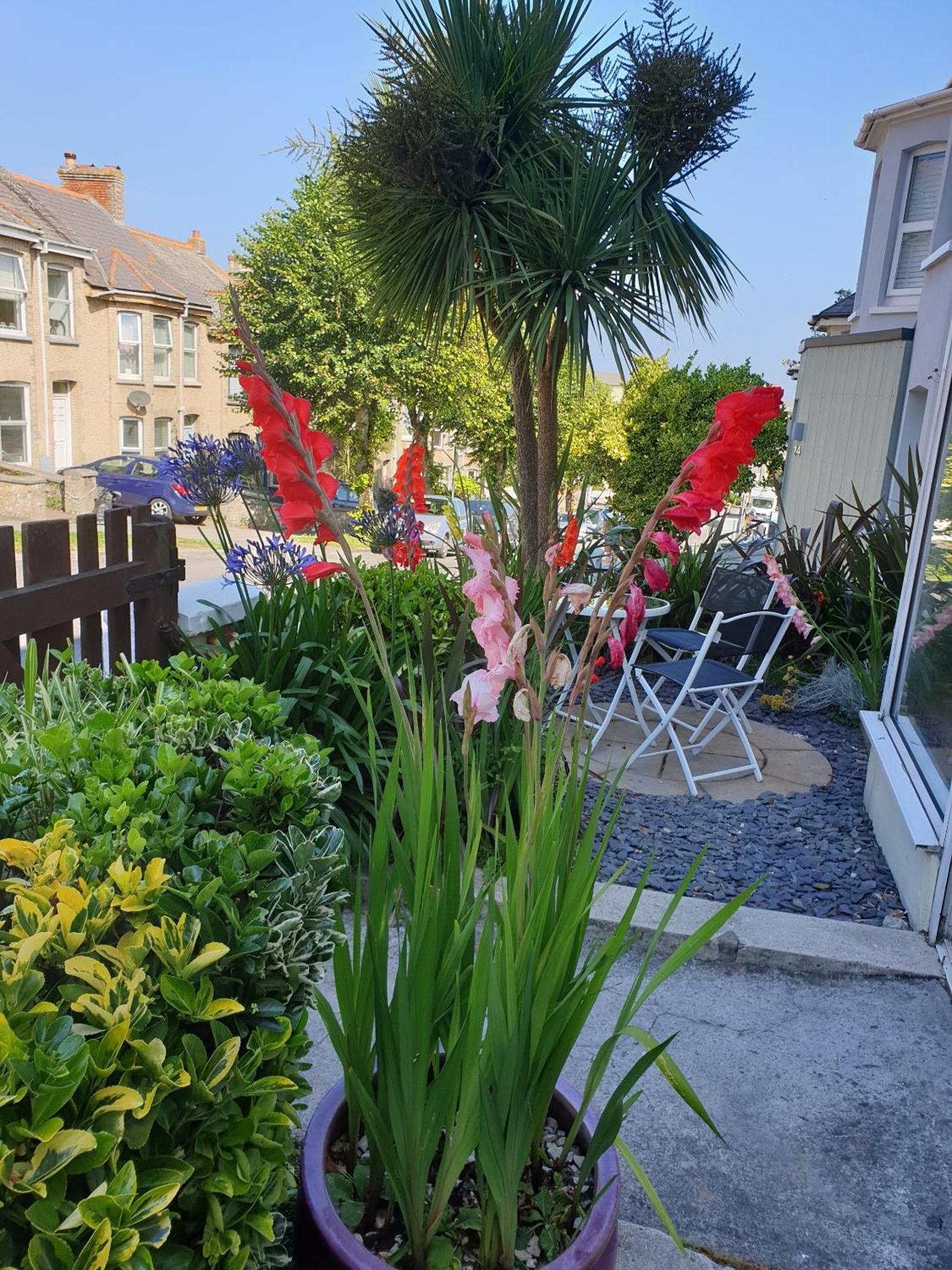 Fairways Guest House New Quay Exteriör bild